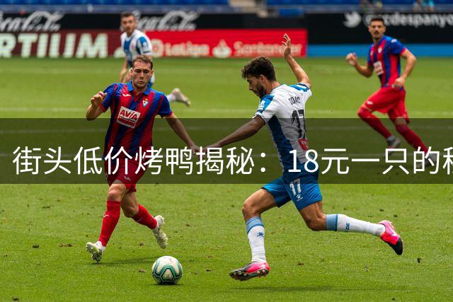街头低价烤鸭揭秘：18元一只的秘密与食用风险
